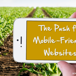 mobile friendly websites increase search ranking