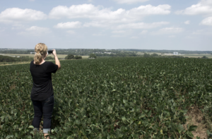 Andee in the Field