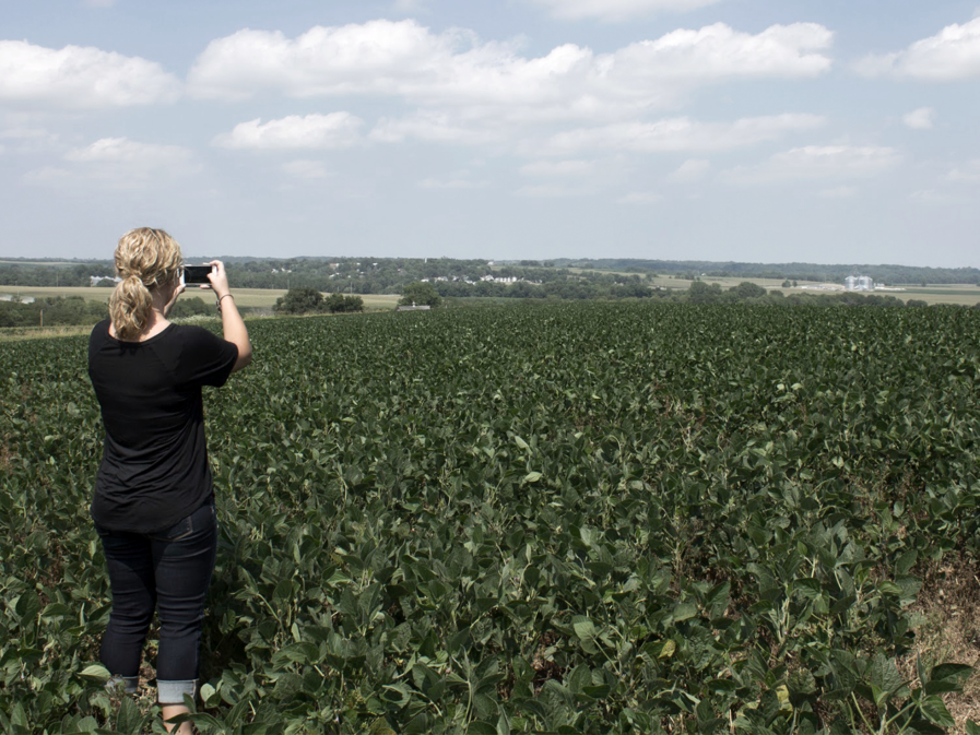 Andee in the Field